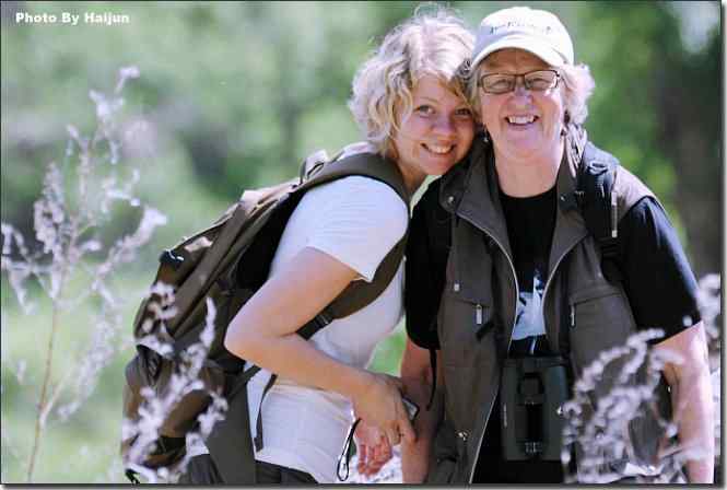 邂逅瑞典皇家鸟调专属委员会观鸟小组