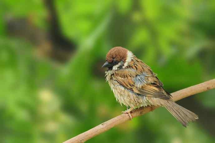 等待（南植收获）