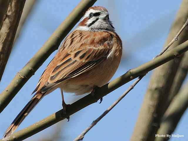 游走山水 猎摄河湾