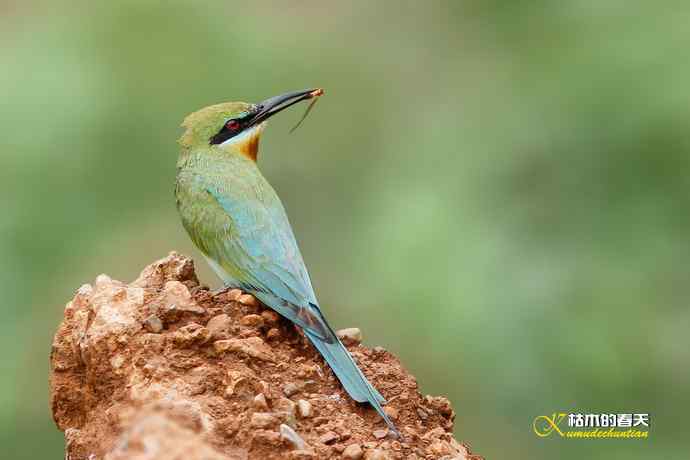 失而复得的鈥溊鹾矸浠⑩