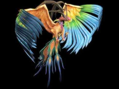 凤凰：传说的鸟