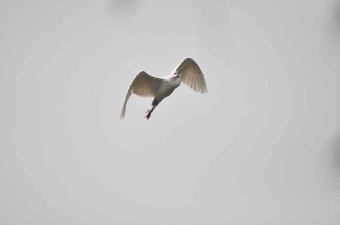 20100505当日总结