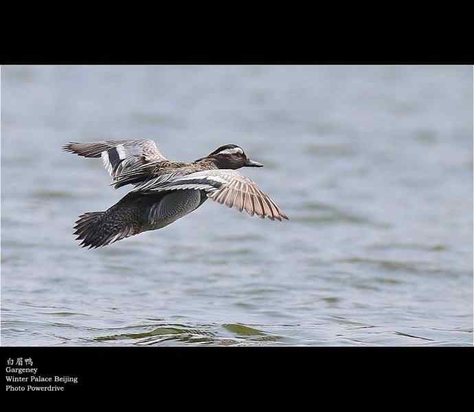 【人间四月天】