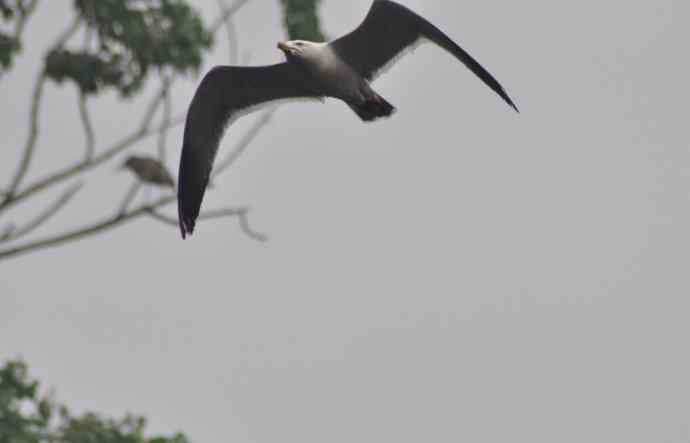 20100505当日总结