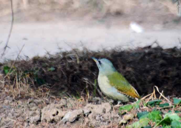 随走随拍（杂片）