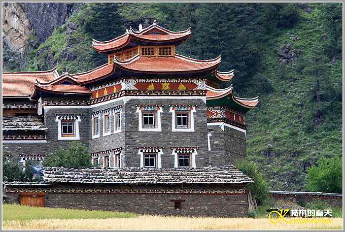 川西高原的那云、那山、那水、那些花儿【照片】