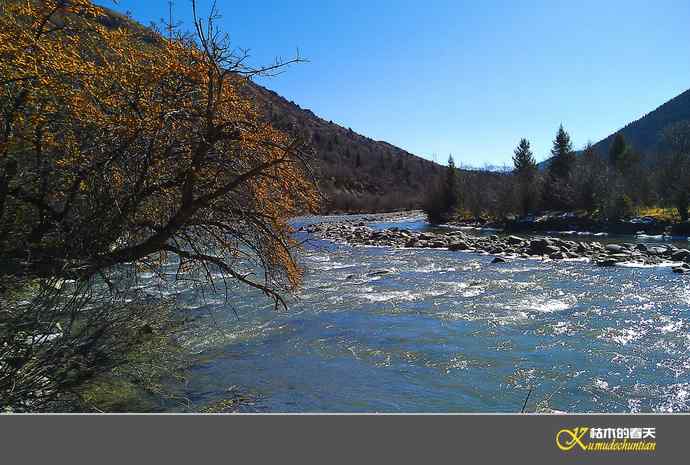 寻梦鈥溠趴讼拟潯臼蹬摹