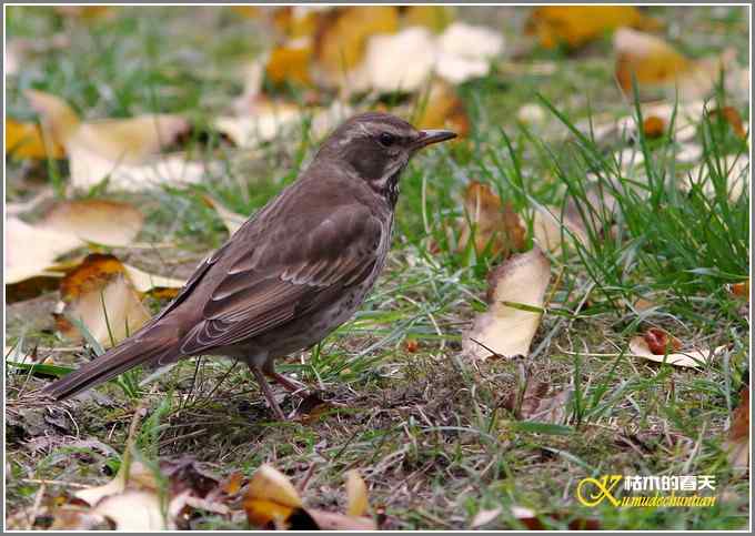 距离产生美【照片】 距离产生美【照片】