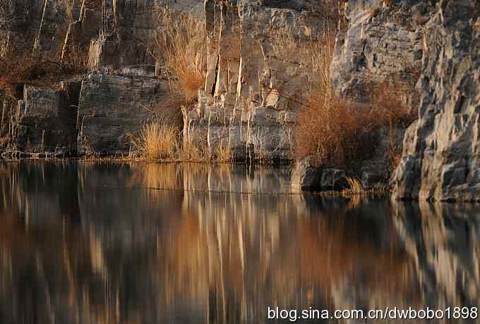 白顶溪鸲 wbr在水一方