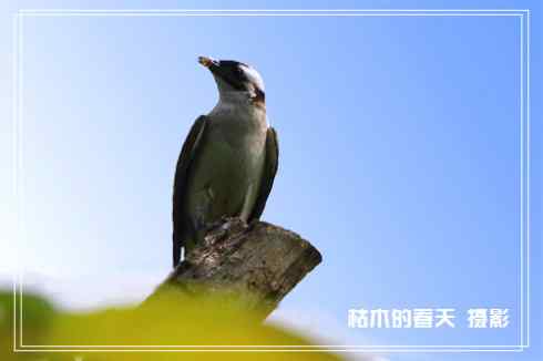 我与鈥湴淄佛恰綛ei】鈥