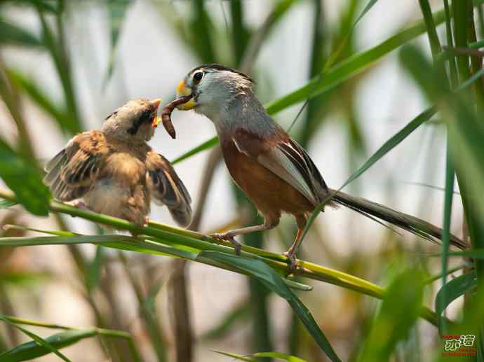 敬畏生命 敬畏生命