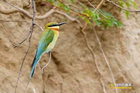 盛夏天拍鈥溊鹾矸浠⑩
