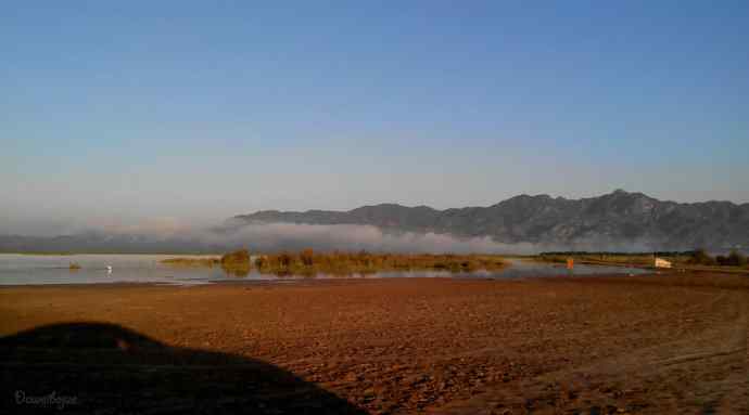 野鸭湖.生境白鹭