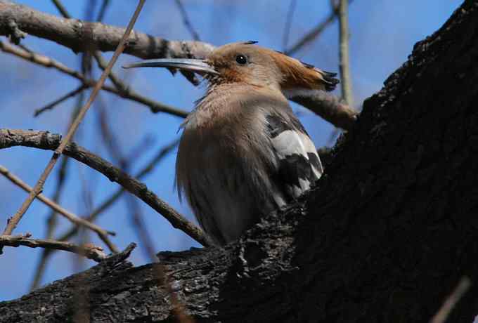 让偶一次拍个够