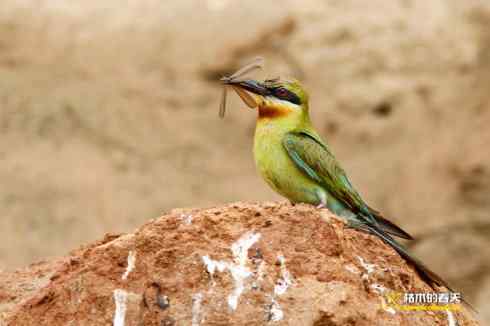 盛夏天拍鈥溊鹾矸浠⑩