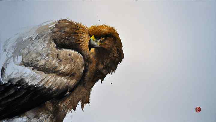 中国风的鸟类绘画图集