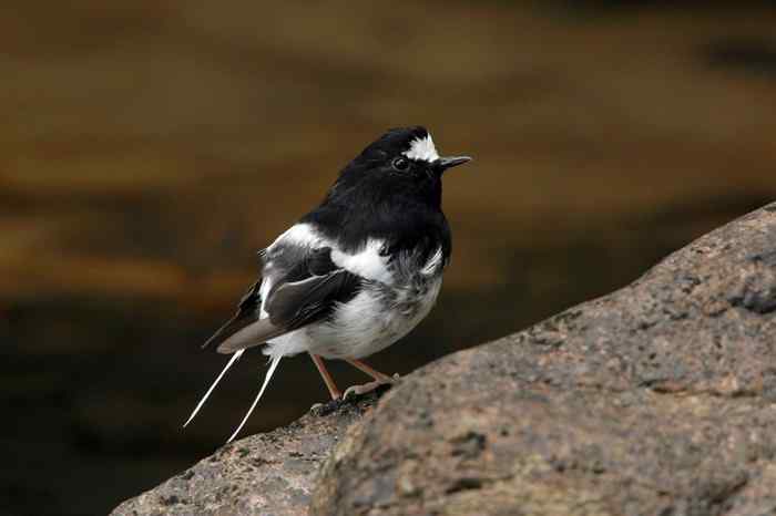 杭州老郑摄影续