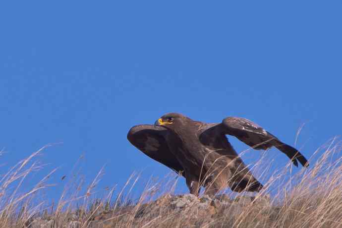 达里诺尔圆梦 wbr wbr克什克腾摄雕