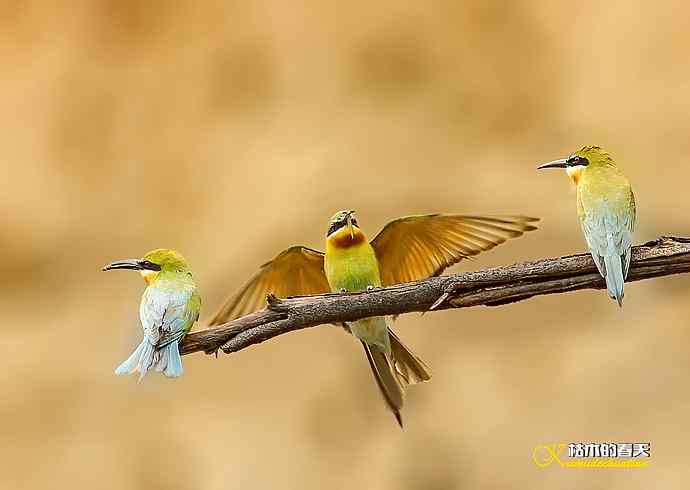 失而复得的鈥溊鹾矸浠⑩