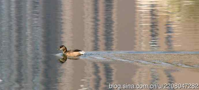 185.再见了小！