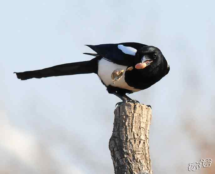 官厅水库&nbsp;wbr路&nbsp;wbr鈥湹刂麾澫踩