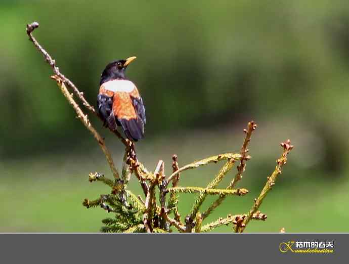 记录鈥溩乇澈谕佛粹