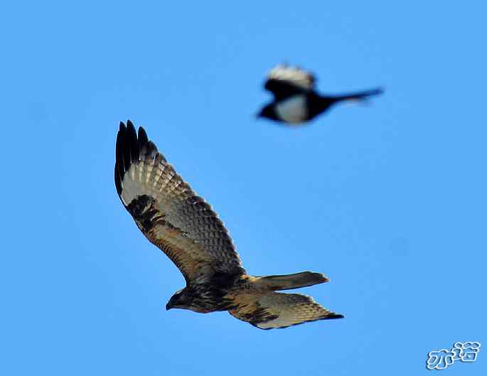 官厅水库&nbsp;wbr路&nbsp;wbr鈥湹刂麾澫踩