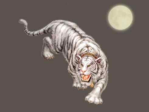 白虎:传说的兽原型探秘 白虎:传说的兽原型探秘