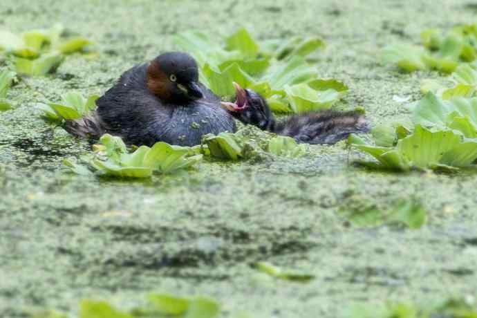 鈥溌杪栉乙...鈥