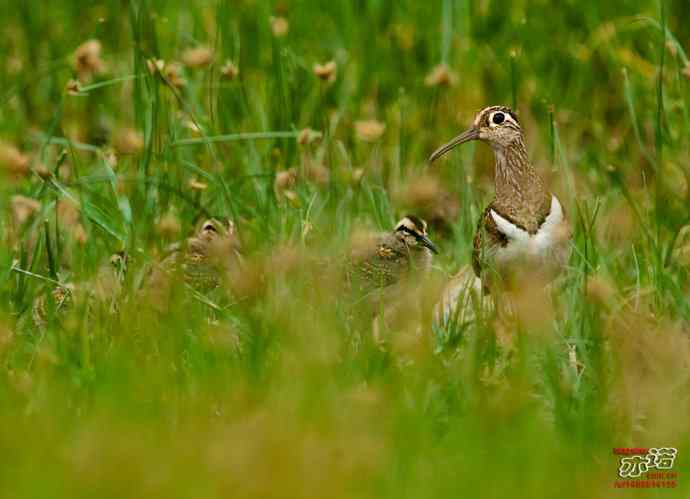 敬畏生命 敬畏生命