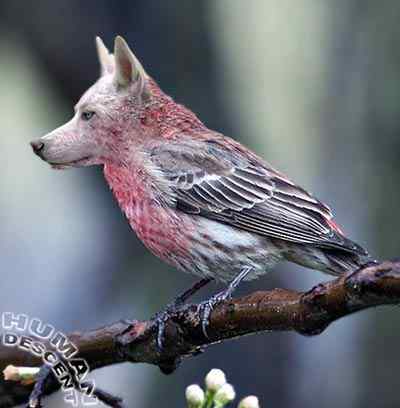 乱伦的后果 乱伦的后果