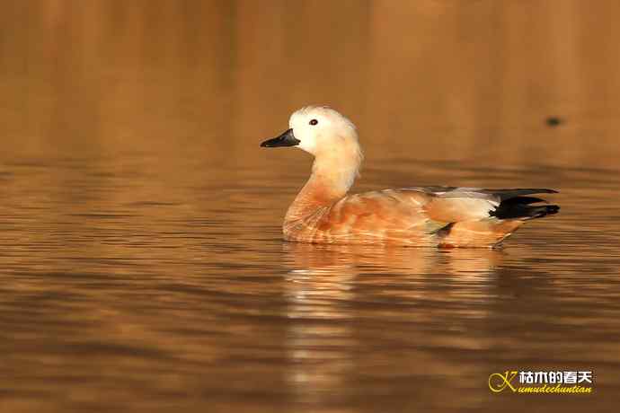 再拍鈥湷嗦檠尖