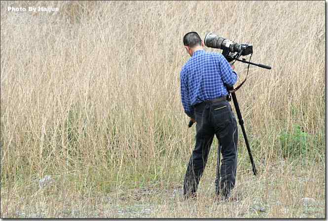  点击图片或使用键盘← →翻页