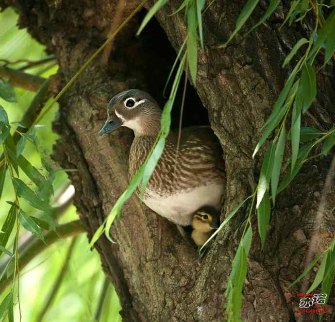 敬畏生命 敬畏生命