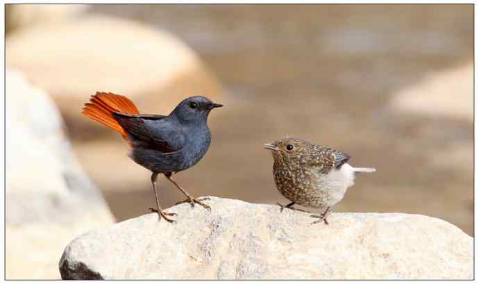 【I 'd never find a love like this】（父爱如山）