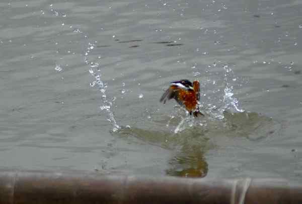 与小翠的亲密接触，珠海独行（三）（组图）