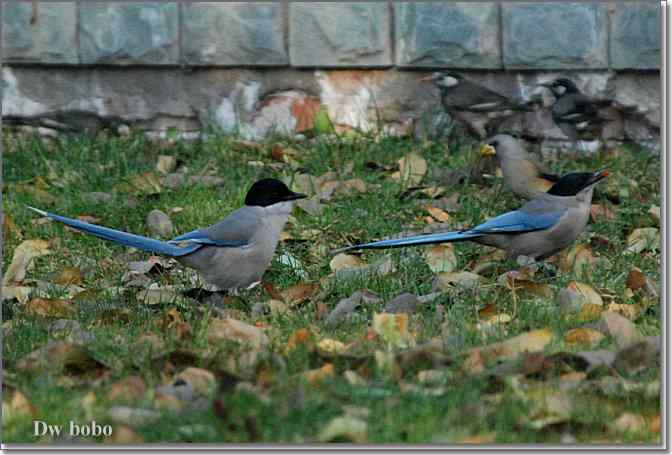 点击图片或使用键盘← →翻页