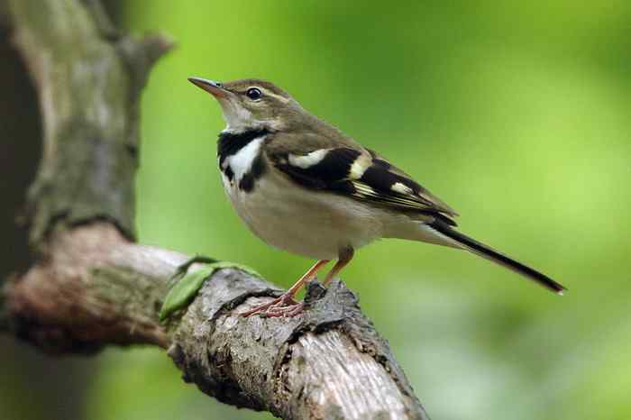 杭州老郑摄影续