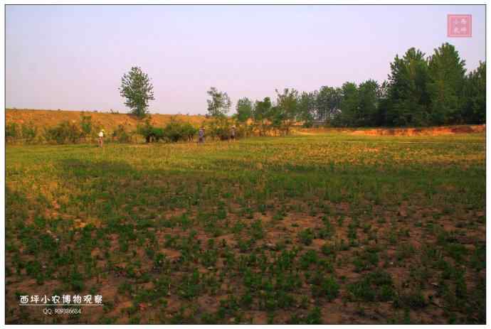 随州厥水河 随州厥水河