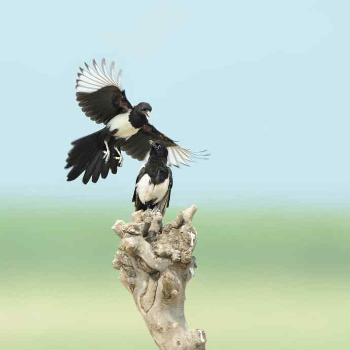 盘点我的2012年（外一篇）