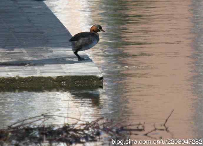 185.再见了小！