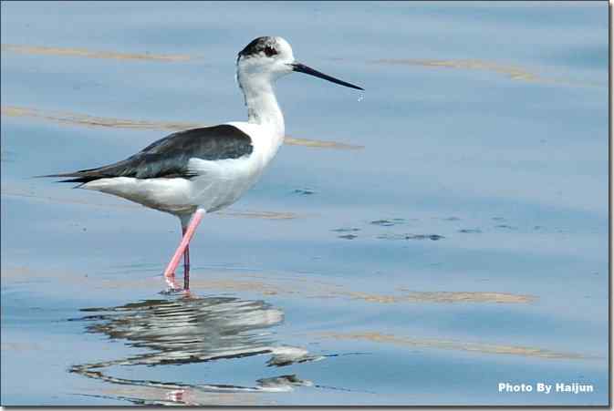  点击图片或使用键盘← →翻页