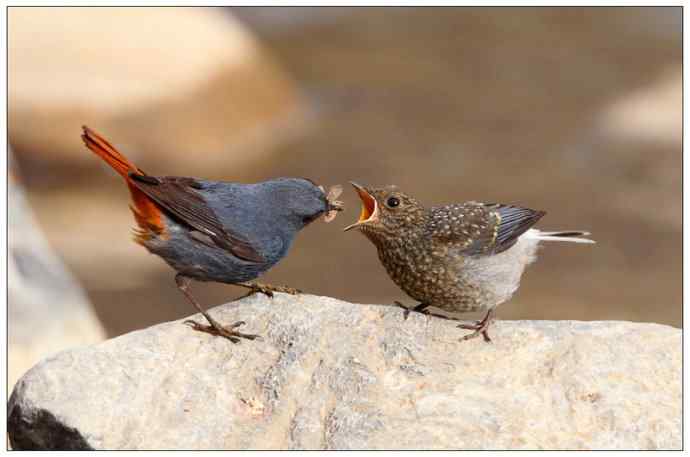 【I 'd never find a love like this】（父爱如山）