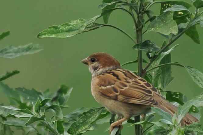  点击图片或使用键盘← →翻页