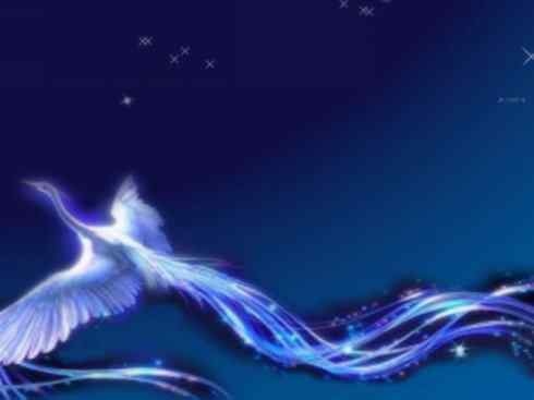 凤凰：传说的鸟