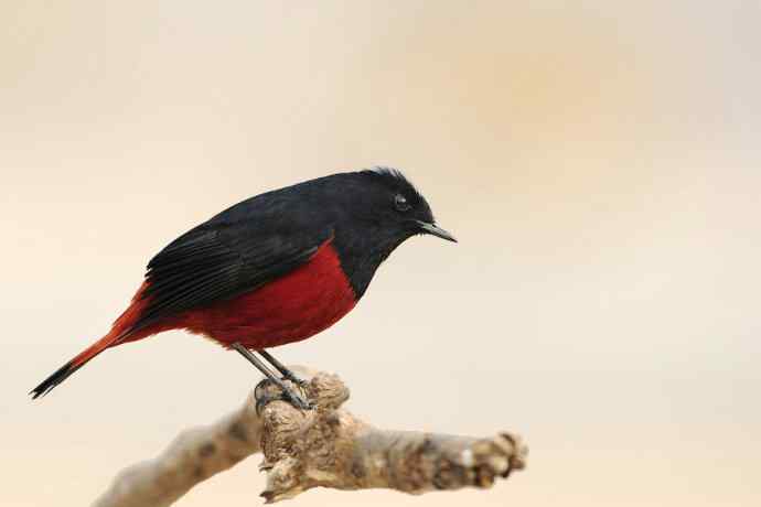 蹊跷鈥斺敯锥ハ洞骰颐倍