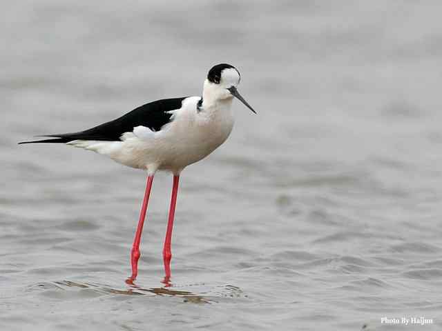 我憧憬那湾碧水 wbr. wbr我流连那片土地