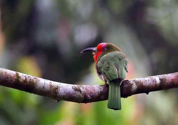 这二货是喝醉了 wbr还是关二爷穿越 这二货是喝醉了 wbr还是关二爷穿越