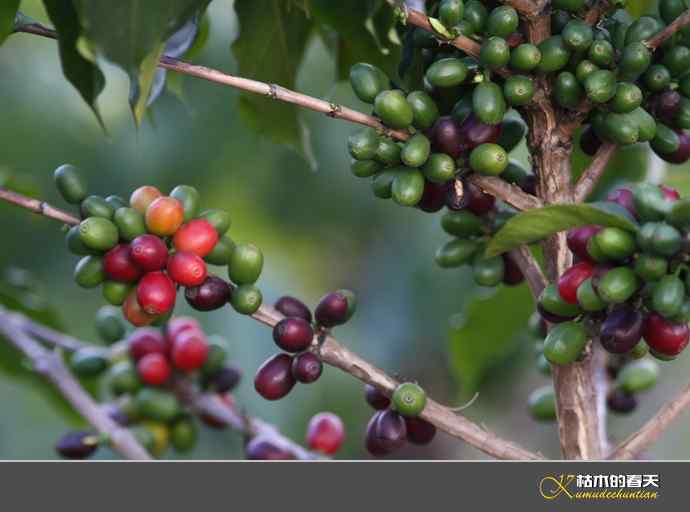 鈥溎竦尖澙虾睢炯褪怠 鈥溎竦尖澙虾睢炯褪怠