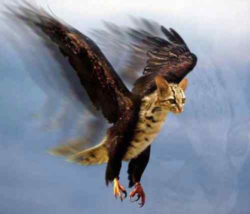 乱伦的后果 乱伦的后果